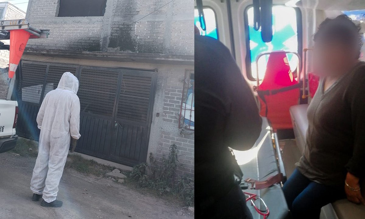 Ataques de abeja dejan varios heridos en Ecatepec