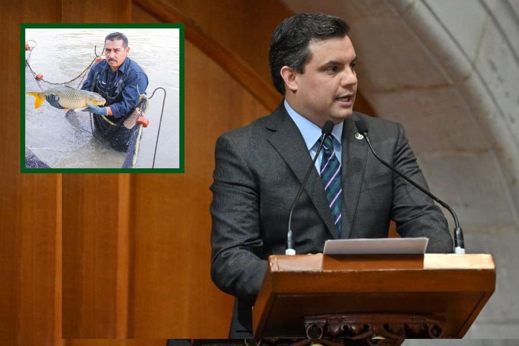 diputado carlos lopez imm