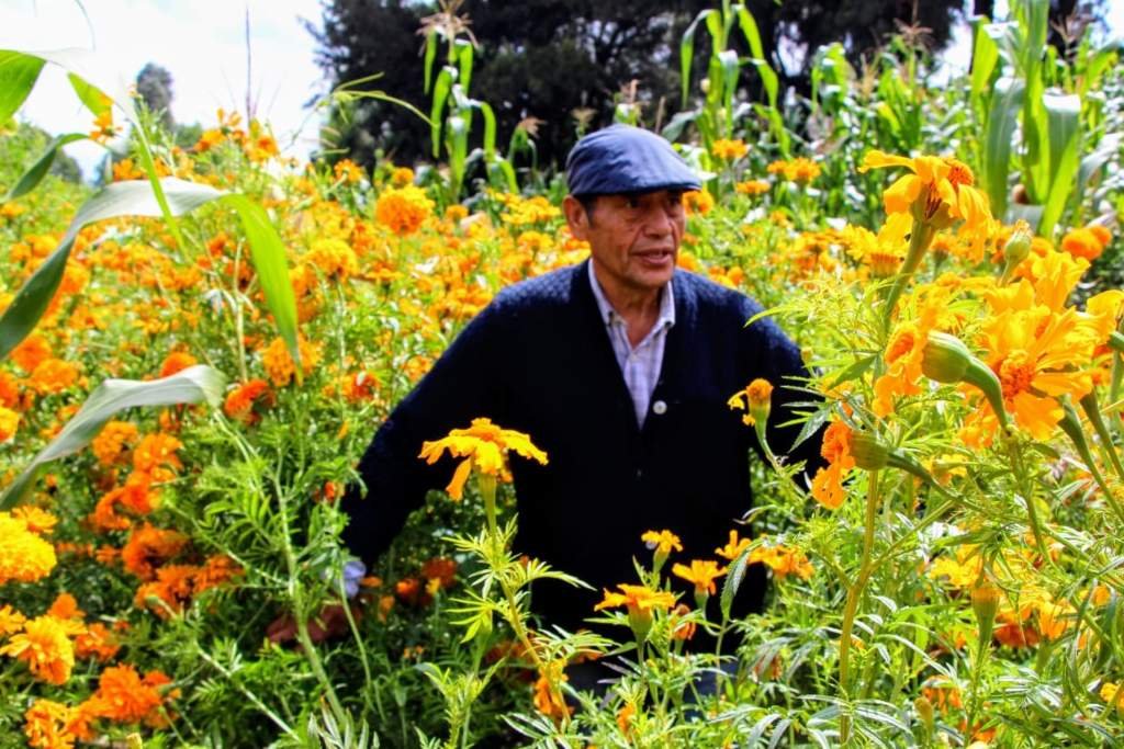 floricultores en dia de muertos