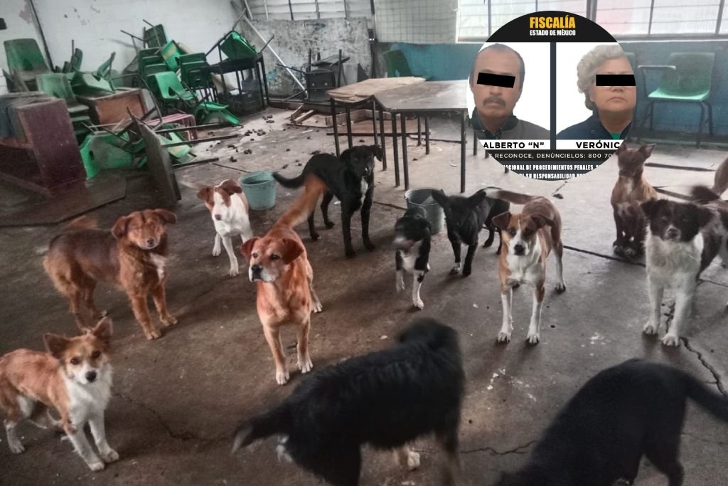 ataque de jauria de perros en huehuetoca