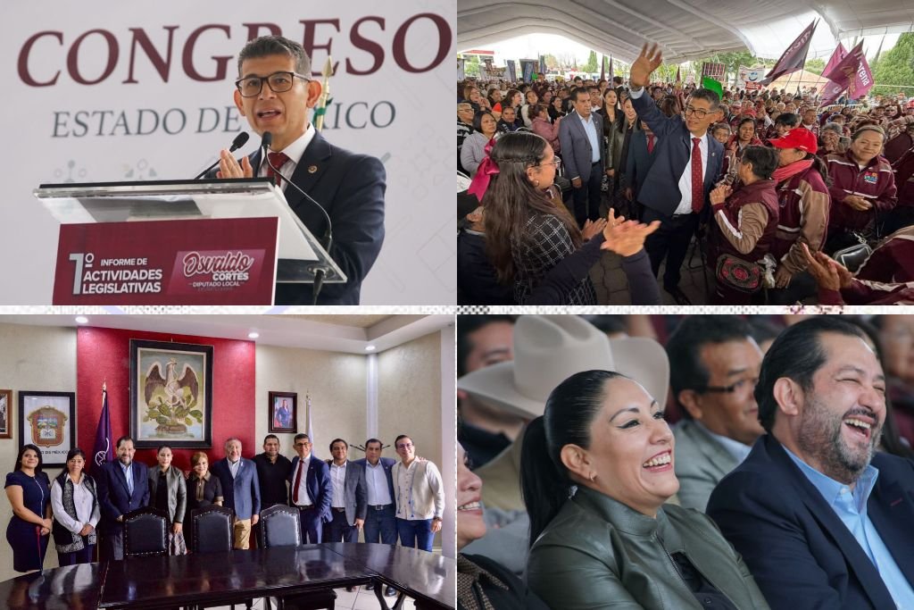 informes de diputados locales