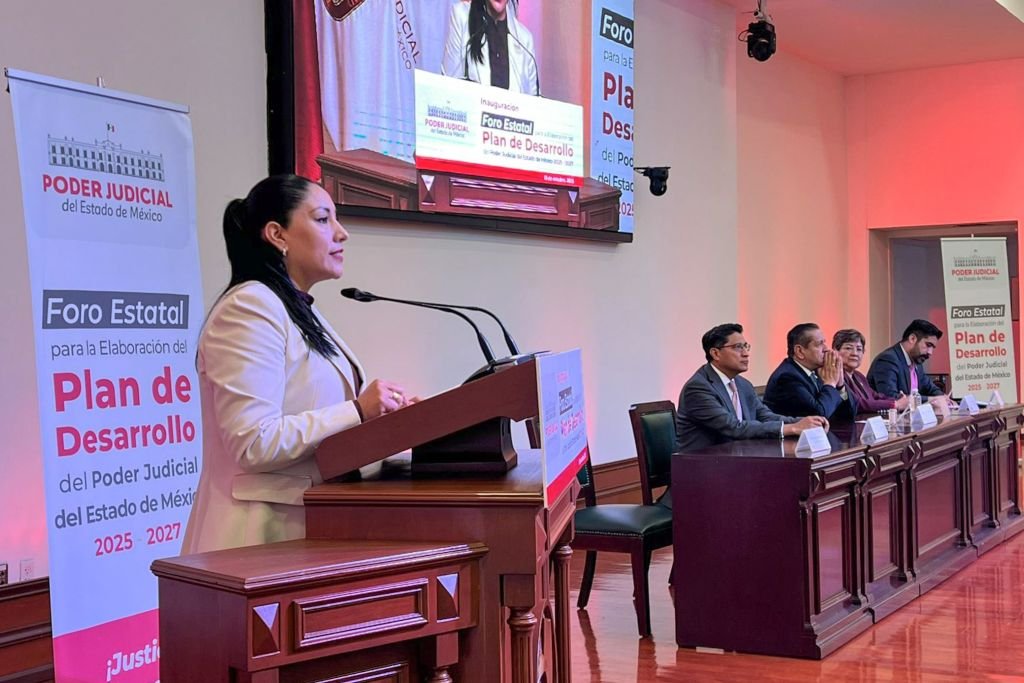 diputada de morena Mzrtha Camacho