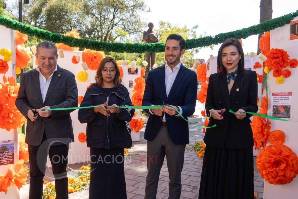 recuerdos que iluminan