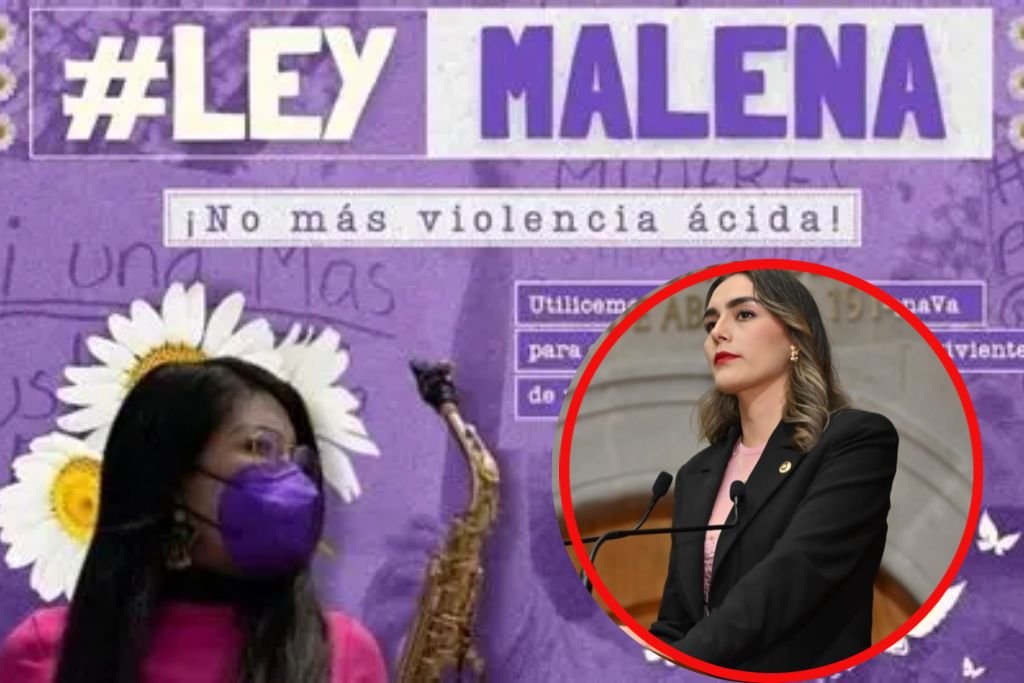 ley malena