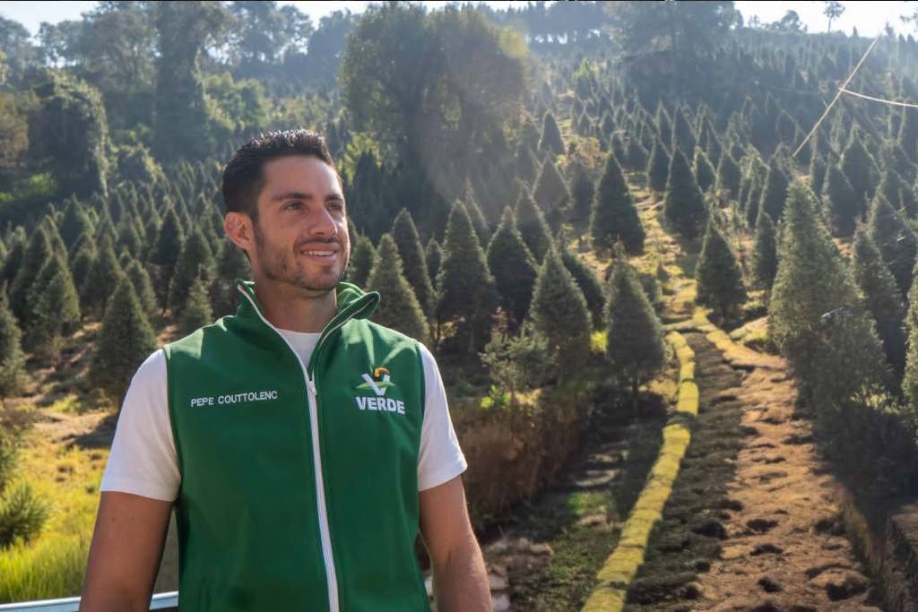 plantaciones de arboles navideños