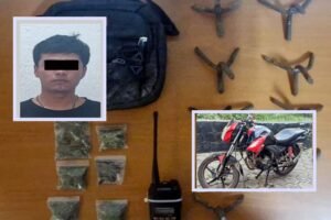 halcon de villa guerrero