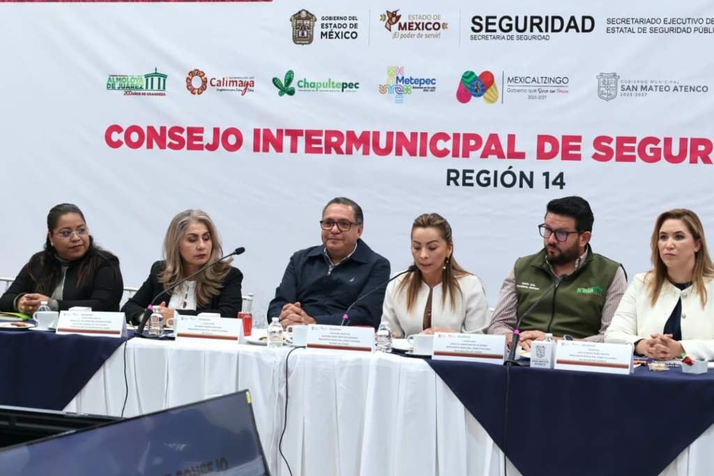 Consejo de Seguridad del Valle de Toluca