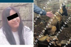 Perrito Káiser destapa feminicidio de una policía en CDMX