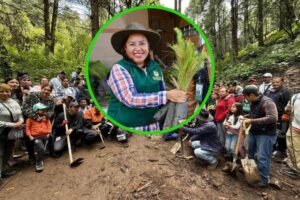 reforestacion ocoyoacac
