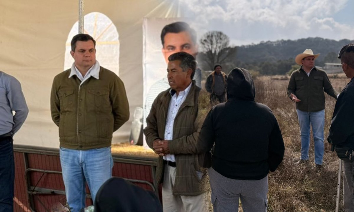 Diputado Carlos López Imm fortalece estructura verde rumbo a 2026