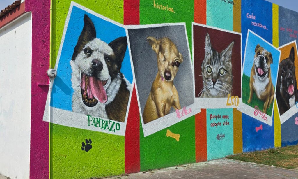 Ricardo Moreno impulsa nueva sede del Bienestar Animal en Toluca