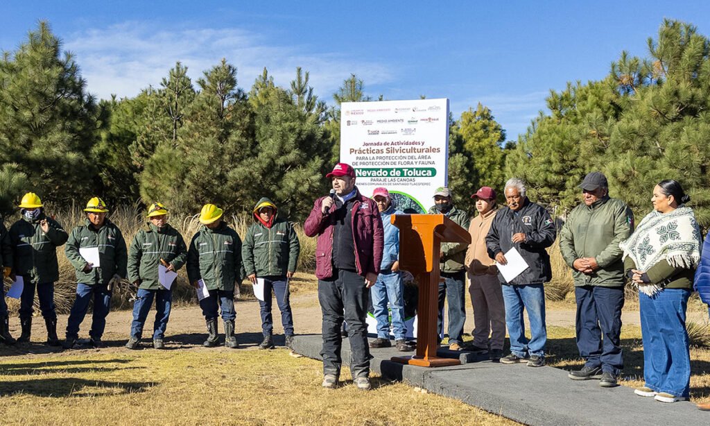 Toluca protege sus bosques de incendios
