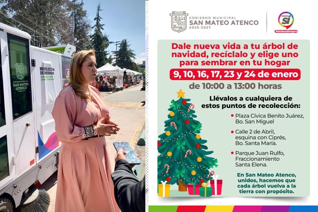 reciclaje de arboles de navidad