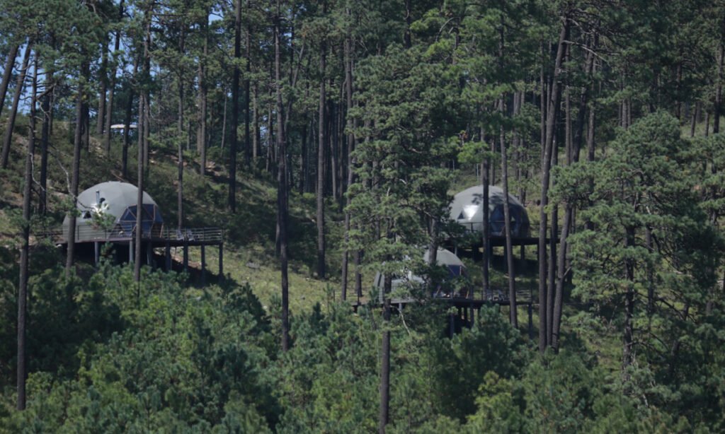 Amanalco abre sus rutas ecoturísticas en la Ruta Monarca ¡visítalas!