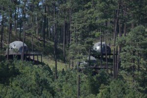Amanalco abre sus rutas ecoturísticas en la Ruta Monarca ¡visítalas!