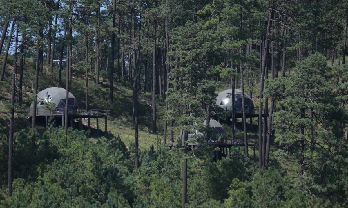 Amanalco abre sus rutas ecoturísticas en la Ruta Monarca ¡visítalas!