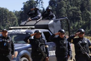 Arranca operativo Mariposa Monarca 2026 en bosques del Edomex