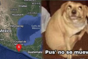 Sismo mueve Oaxaca y alerta al centro de México