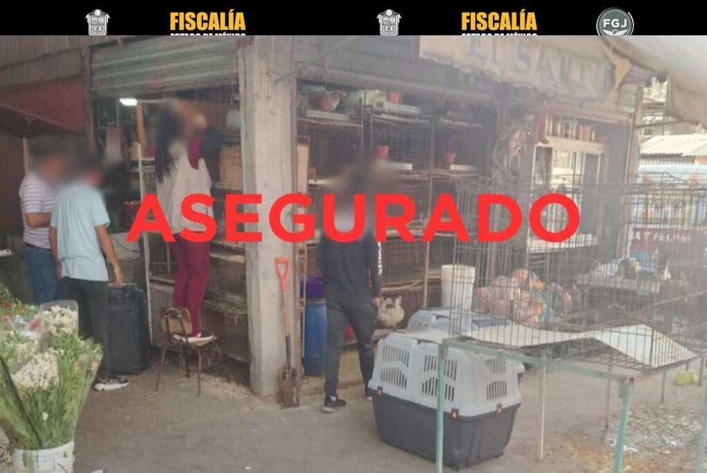 venta ilegal de animales