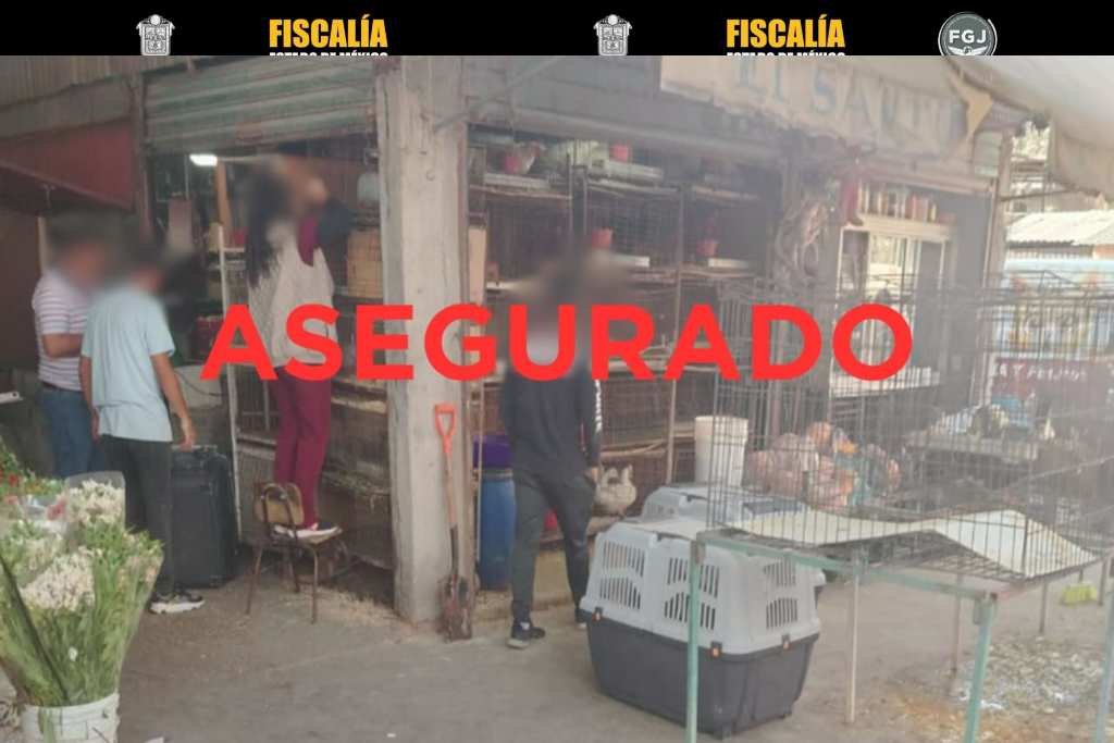 venta ilegal de animales