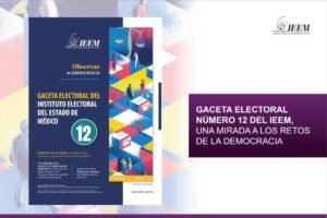 Gaceta Electoal No 12