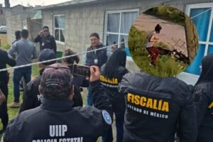 perros agresivos en San Pablo Autopan