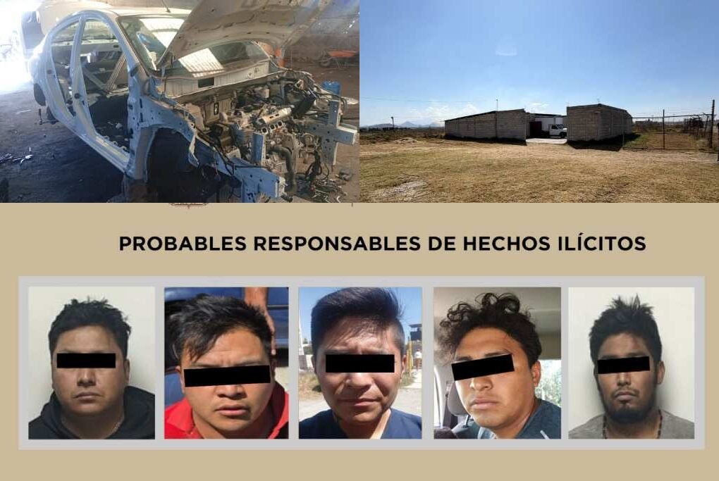 desvalijadores de autos