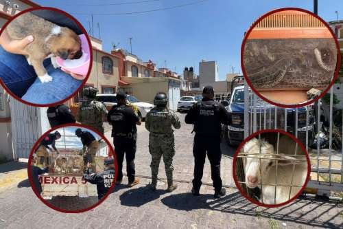 fraccionamiento Las Américas