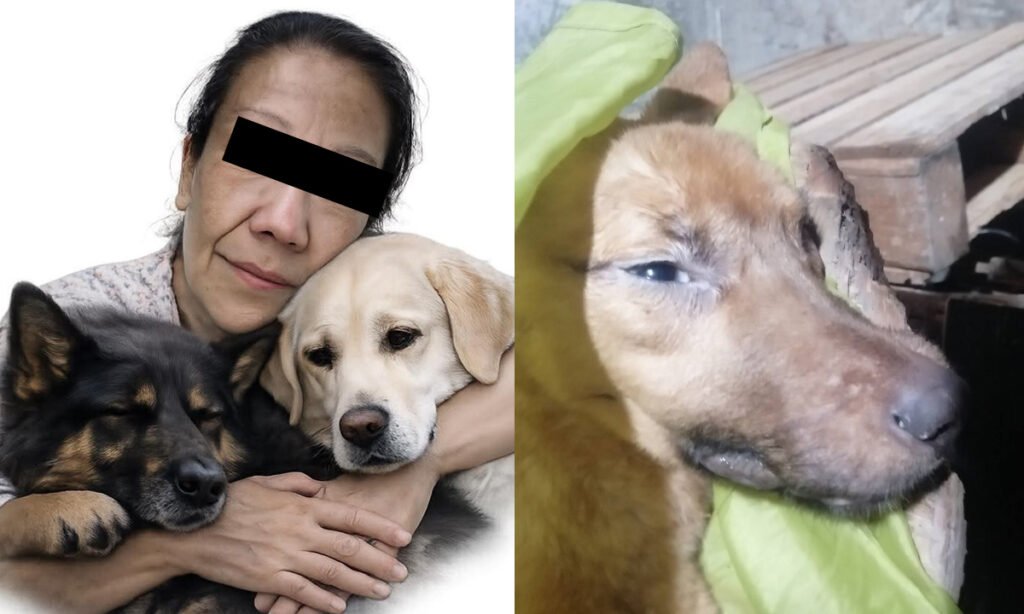 Indignación por feminicidio de Anaid y la muerte de sus perros