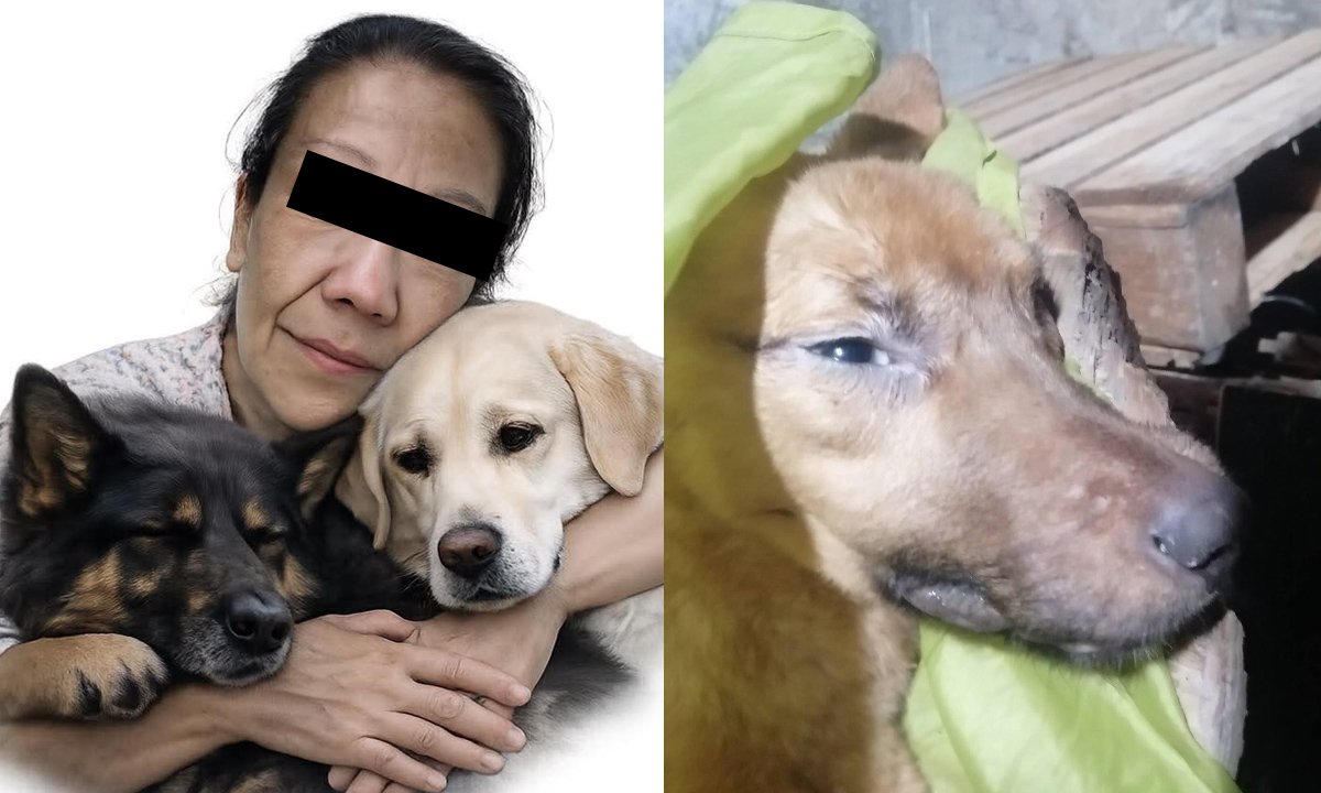 Indignación por feminicidio de Anaid y la muerte de sus perros