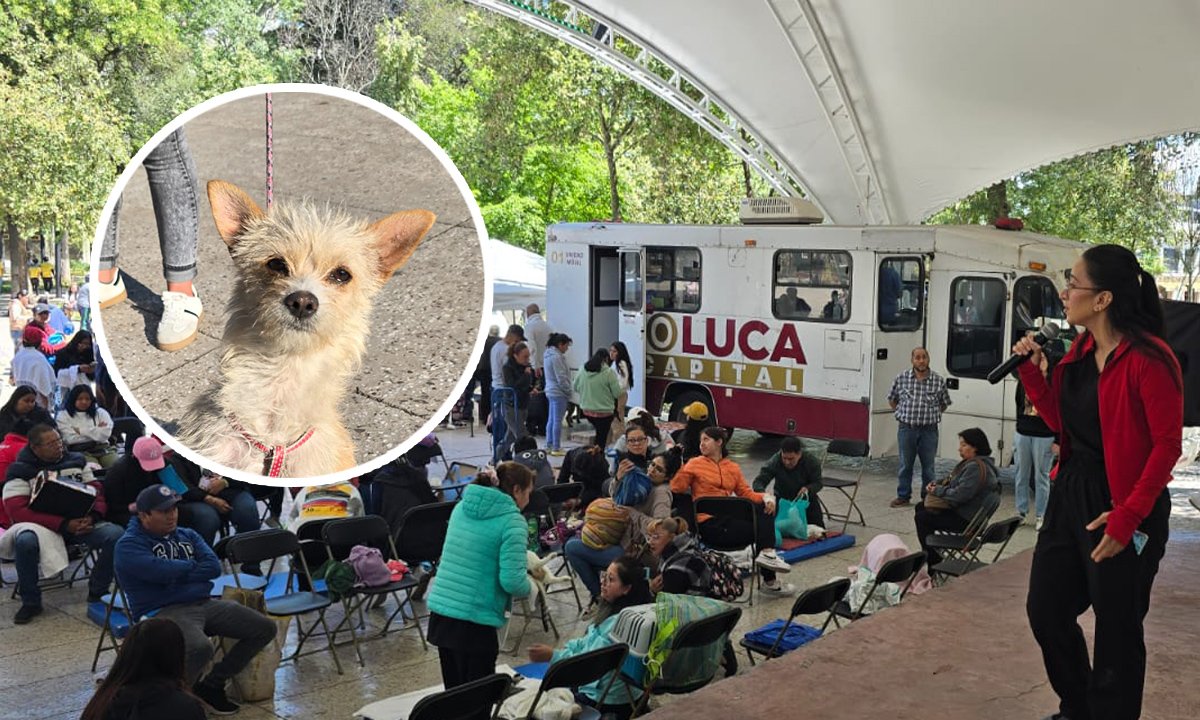 Perros y gatos reciben atención en la Alameda de Toluca