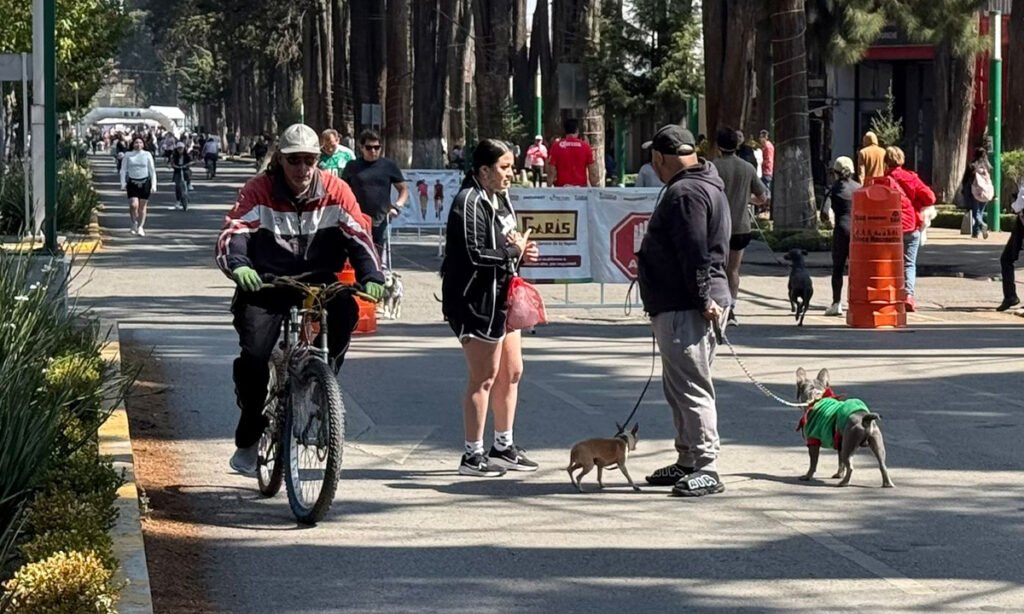 Se suspende Ruta Dominical en Toluca