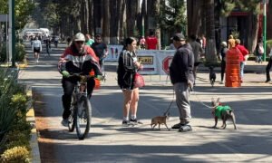 Se suspende Ruta Dominical en Toluca