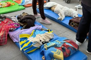 Toluca: Jornada de esterilización y vacunación llega a San Cristóbal Huichochitlán