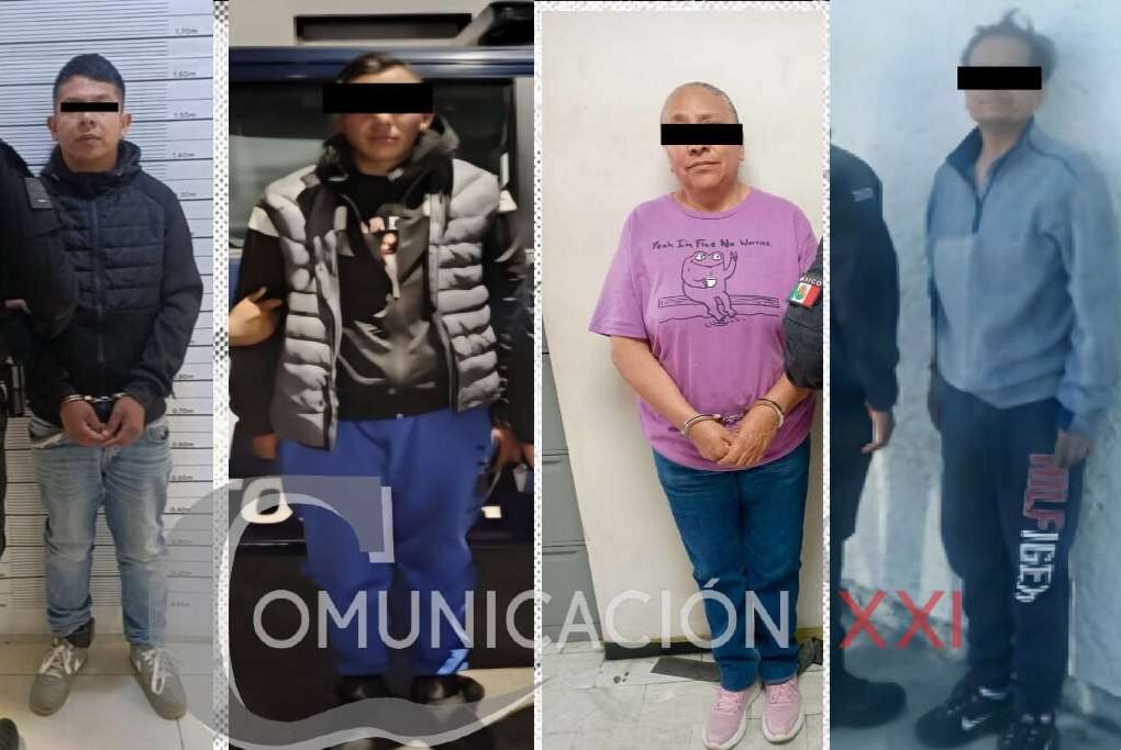 ladrones de vehiculos