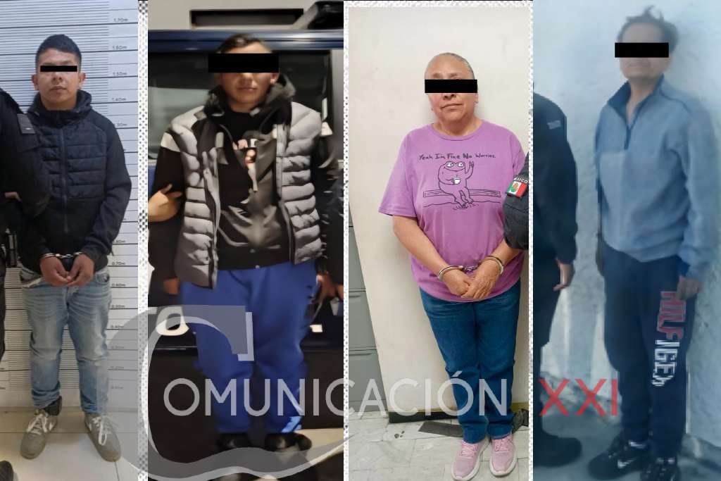 ladrones de vehiculos