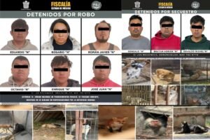seis detenidos por robo