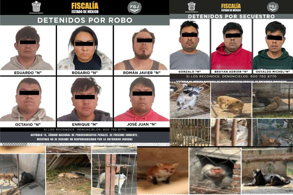 seis detenidos por robo