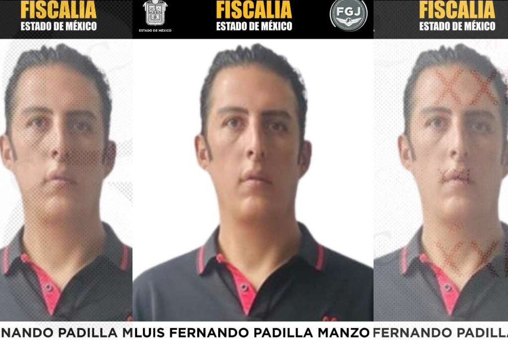 Creador de contenido