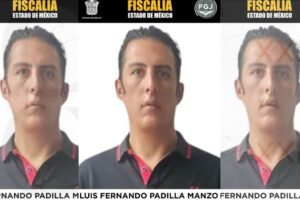 Creador de contenido