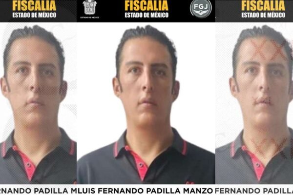 Creador de contenido