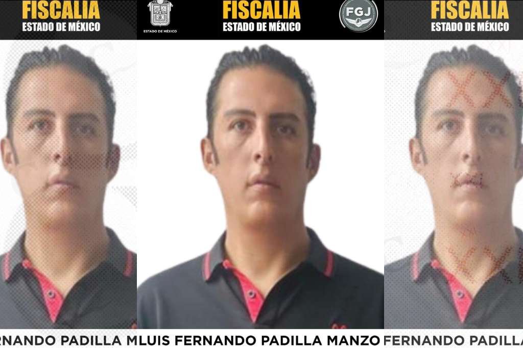 Creador de contenido