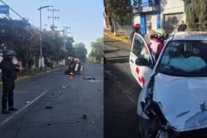 chcan patrulla de Lerma