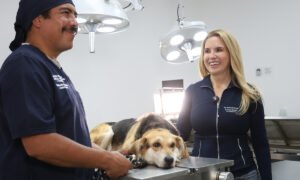 Huixquican atiende a casi 5 mil mascotas en centro de protección