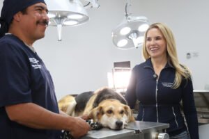 Huixquican atiende a casi 5 mil mascotas en centro de protección