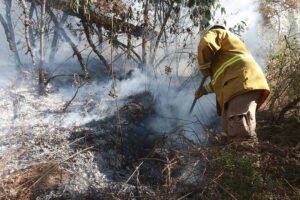 Huixquilucan prepara medidas contra incendios forestales