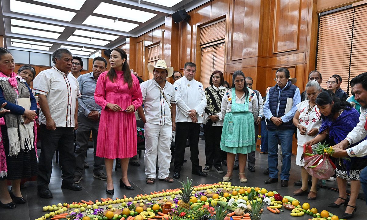 Impulsa Lety Mejía reconocimiento a pueblos indígenas y afromexicanos