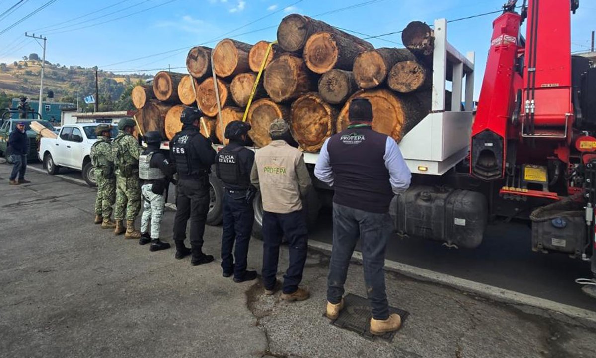 Realizan operativo conjunto contra tala clandestina en Ocuilan