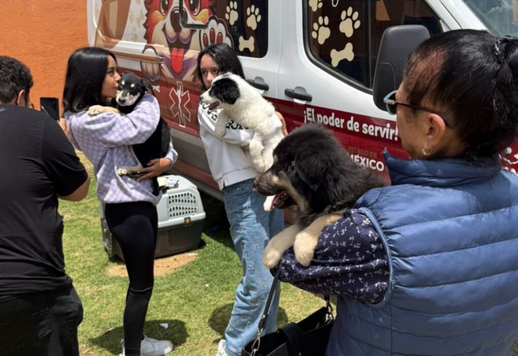 Rescatan a “Mantequilla” y sus cachorros en Ciudad Universitaria de la UAEMéx