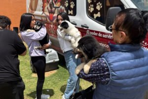 Rescatan a “Mantequilla” y sus cachorros en Ciudad Universitaria de la UAEMéx